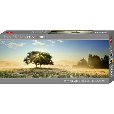 Puzzle 1000 Pcs AvH, Play of Light