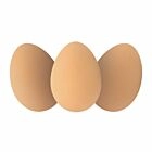 Egg Jetball