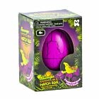 Large Stegosaurus Hatching Egg
