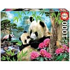Puzzle 1000 Pcs Ursos Panda