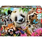 Puzzle 300 Pcs Black-Eyed Friends Selfie