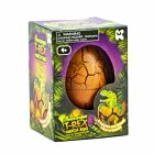 Large T-Rex Hatching Egg