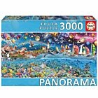 Puzzle 3000 Pcs Vida Panorama