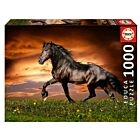 Puzzle 1000 Pcs Cavalo a Trote