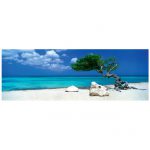 107121-Puzzle-1000-Pcs-AvH-Divi-Divi-Tree-HEYE-29399