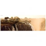 107123-Puzzle-1000-Pcs-AvH-Elephant-HEYE-29287