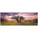 108768-Puzzle-2000-Pcs-AvH-Oak-Tree-HEYE-29472