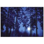 112450-Puzzle-500-Pcs-Eliasson-Full-Moon-HEYE-29625-