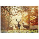 119357-Puzzle-1000-Pcs-Magic-Forests-Stags-HEYE-29805