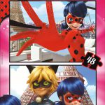 2 X 48 LadyBug