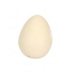Dinossaur Hatching Egg Small-2