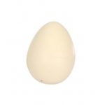 Dinossaur Hatching Egg Small-2