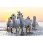 Educa_17105_-_White_horses_at_sunset_-_1000_pieces_jigsaw_puzzle