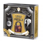 Einstein Puzzle Lock