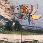 Fish_peixe 00003678