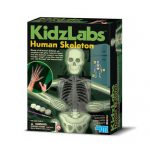 Kidzlabs Glow Human Skeleton