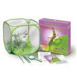 Kit para Criação de Mariposas