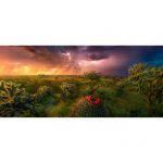 Puzzle 1000 Pcs Stormy Horizon2