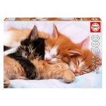 Puzzle 500 Gatitos