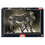 Puzzle 500 Pcs Zebras