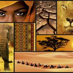 cores de africa