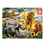 educa-puzzle-1000-16748