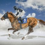 final de white turf
