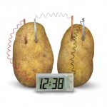green_science_potato_clock_4365-1