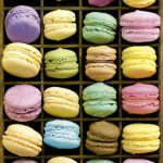 macaroons