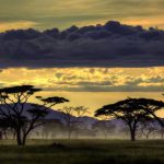 paisagem africana
