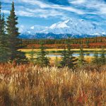 parque nacional denali