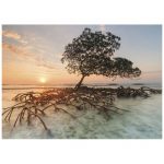 120253-Puzzle-1000-Pcs-AvH-Red-Mangrove-HEYE-29856