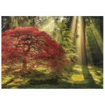 120261-Puzzle-1000-Pcs-Magic-Forests-Guiding-Light-HEYE-29855