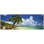 120275-Puzzle-2000-Pcs-Alexander-Von-Humboldt-Paradise-Palms-HEYE-29860