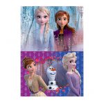 18109-2×20-Frozen2-