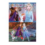 18110-2×48-Frozen2-2