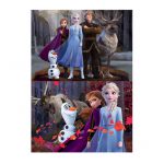 18111-2×100-Frozen2-2