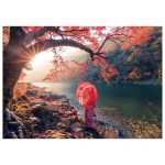 18455-1000-Amanhecer-no-Rio-Katsura-2