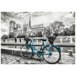 18482-500-Bicicleta-perto-de-notre-dame-2