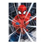 18486-500-Spider-man-2