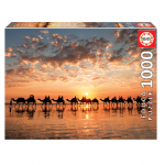 puzzle-1000-pcs-golden-sunset-on-cable-beach-australia-18492