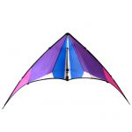 Papagaio-Fanatic-Prism-kite