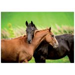 Puzzle-200-Pcs-Cavalos-EDUCA-18608-b