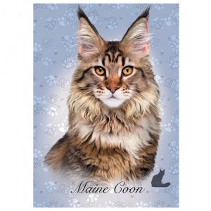 Puzzle de 100 peças com a imagem dum gato Maine Coon