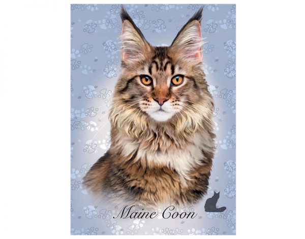 Puzzle de 100 peças com a imagem dum gato Maine Coon
