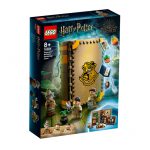LEGO-HARRY-POTTER-Momento-Hogwarts-Aula-de-Herbologia-76384-a