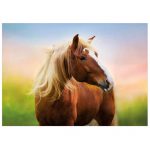 121555-Puzzle-500-Pcs-Horse-At-Sunrise-Educa-19000