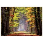 121641-Puzzle-1000-Pcs-Passeio-Outonal-EDUCA-19021