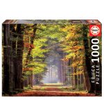 121641-Puzzle-1000-Pcs-Passeio-Outonal-EDUCA-19021_