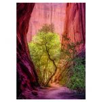 121828-Puzzle-1000-Pcs-Power-Nature-Singing-Canyon-HEYE-HY29944-